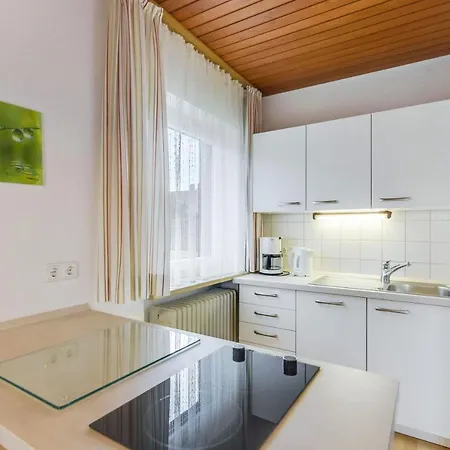 Apartment Wennesz 1 *